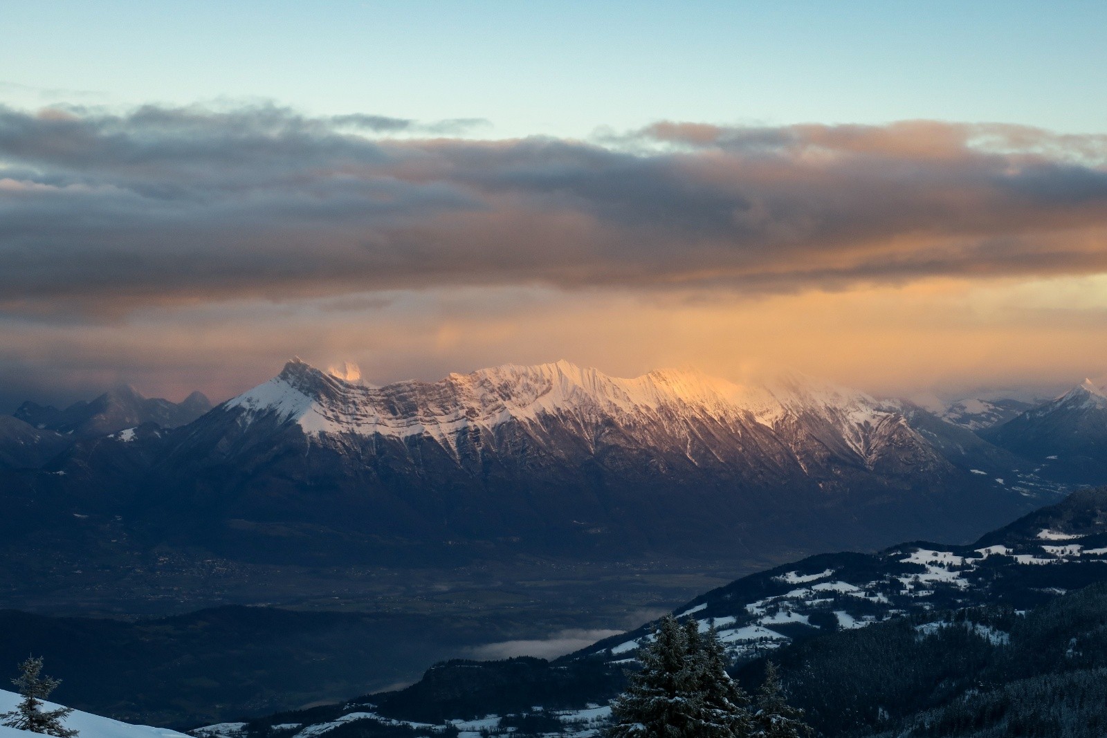 Bauges dans le feu matinal