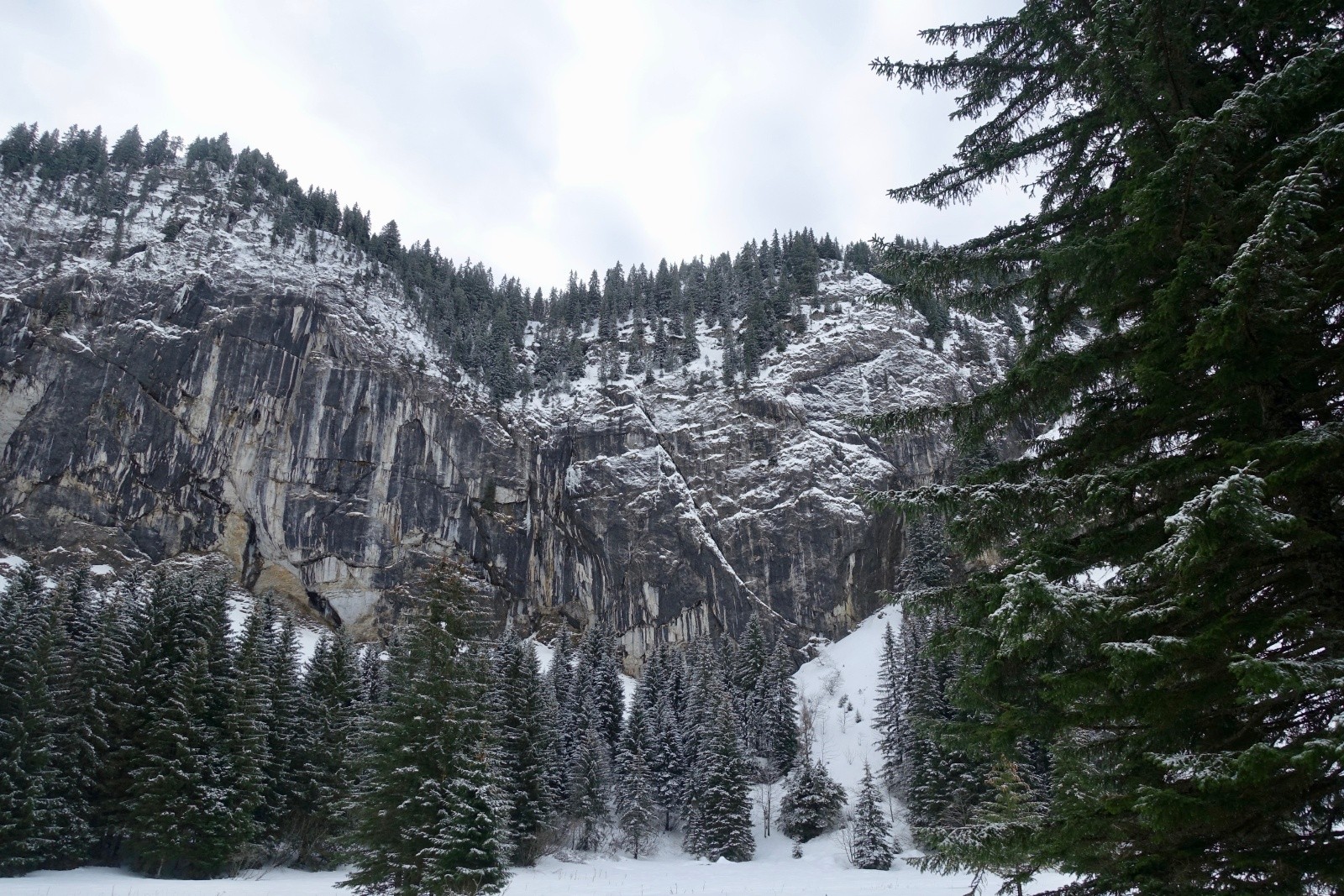 voilà, c'est là que ça passe !