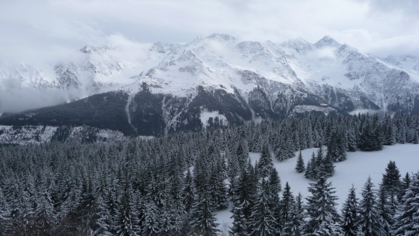 Les Valloires : Bien chargées avec des coulées naturelles visibles.