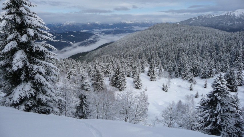 La zone des Tavernes : La belle clairiere