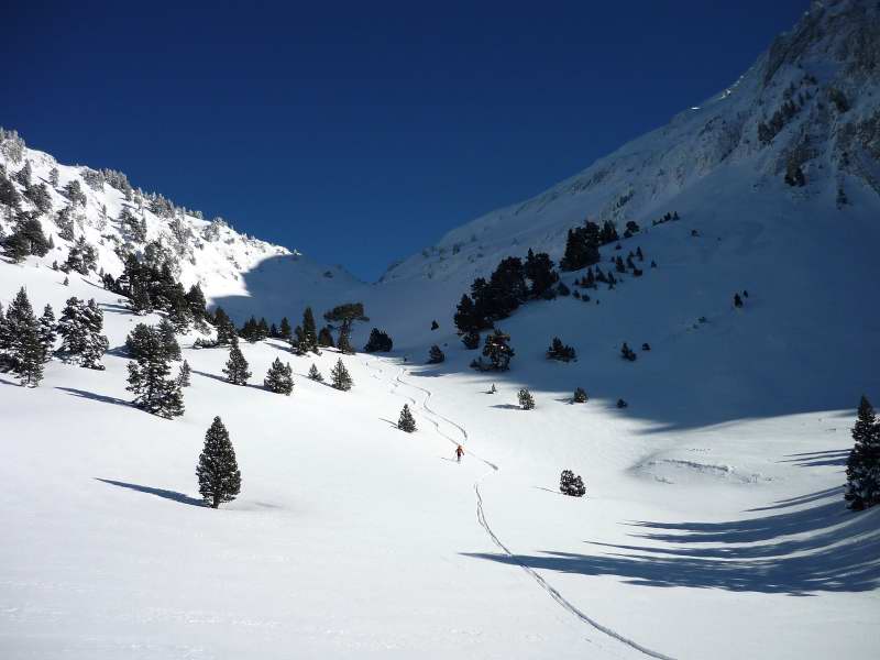 grand Veymont : Descente dans la poudre.