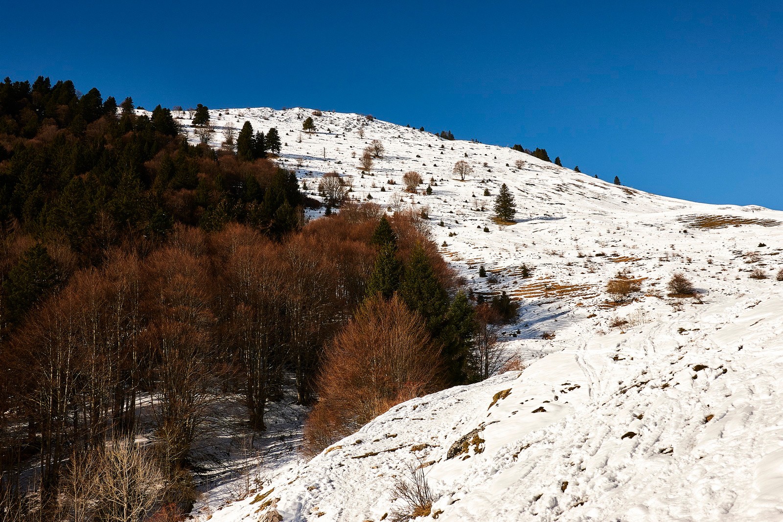 Un petit Pravouta pour se finir les cuisses ???