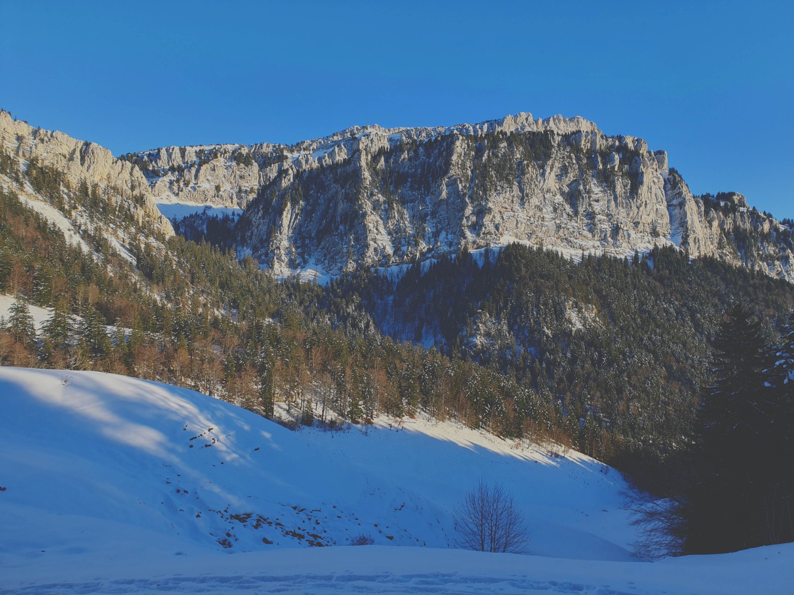 Le Grand Somptueux&nbsp;