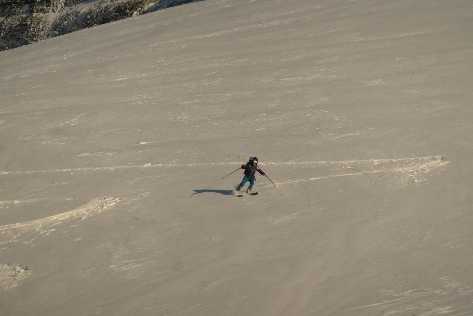 #56 Jour 1 : Glad Jour 1 : Glad