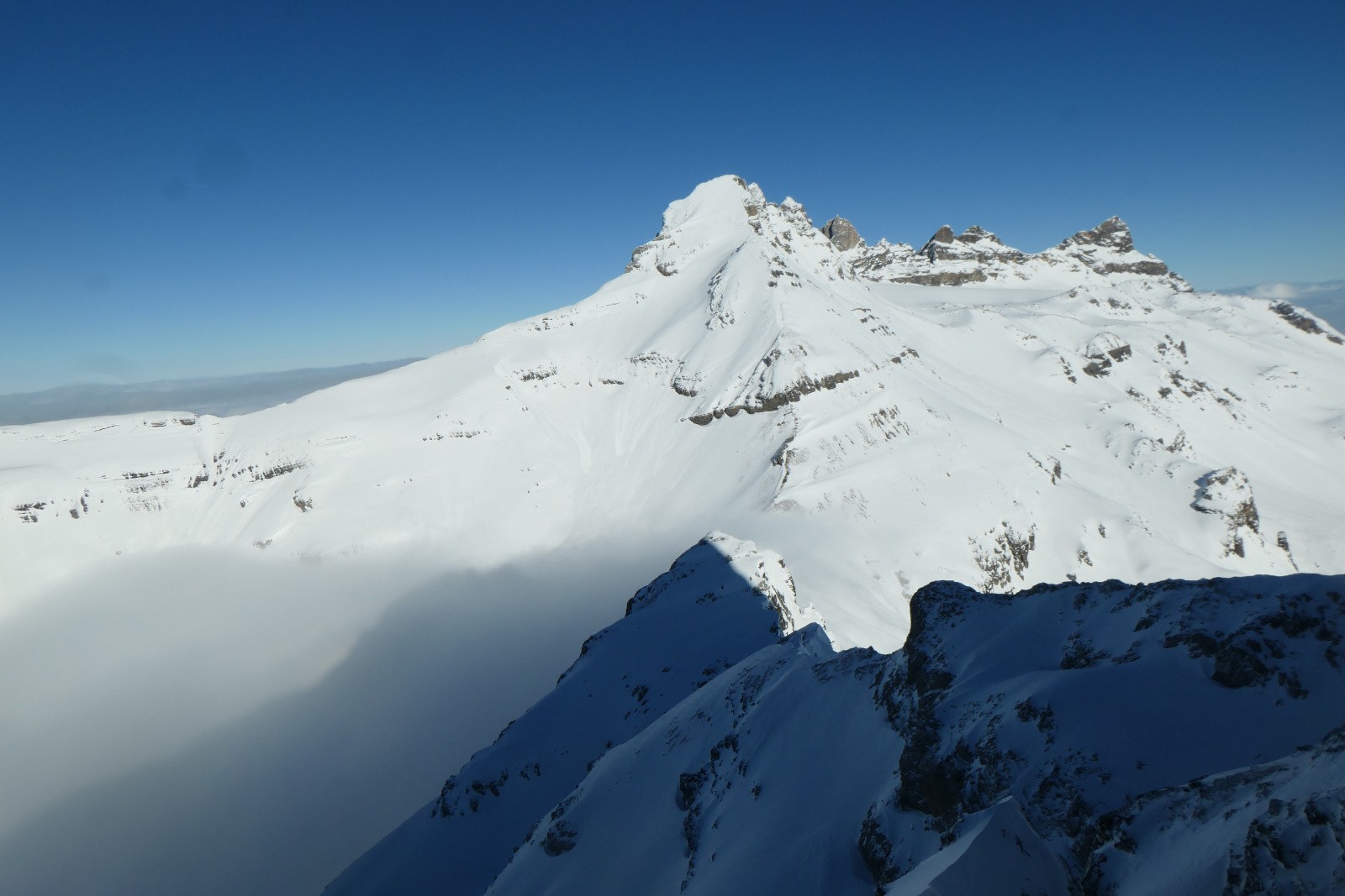 #117 Jour 5 : On ne la présente plus Jour 5 : On ne la présente plus