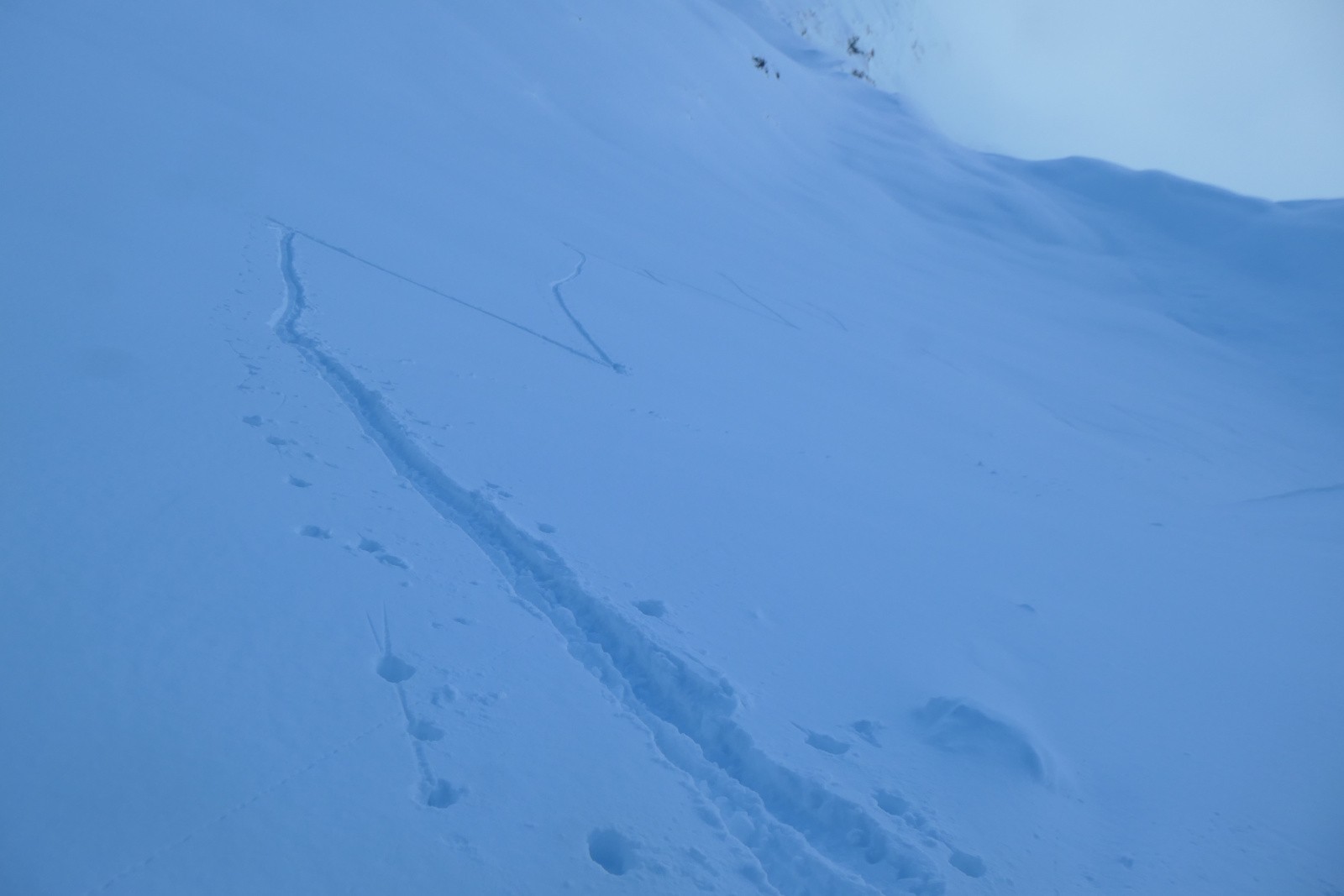 #115 Jour 5 : De l Jour 5 : De l'art !