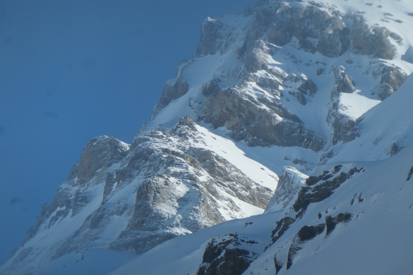 #35 Jour 5 : Cherchez nos traces ! Jour 5 : Cherchez nos traces !