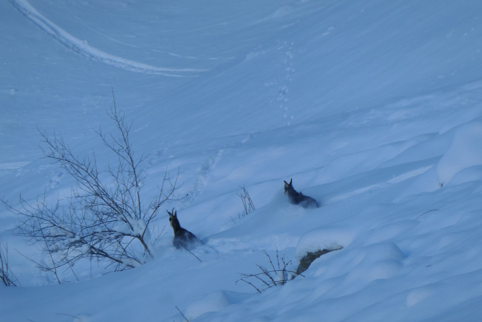 #42 Jour 1 : coucou ! Jour 1 : coucou !