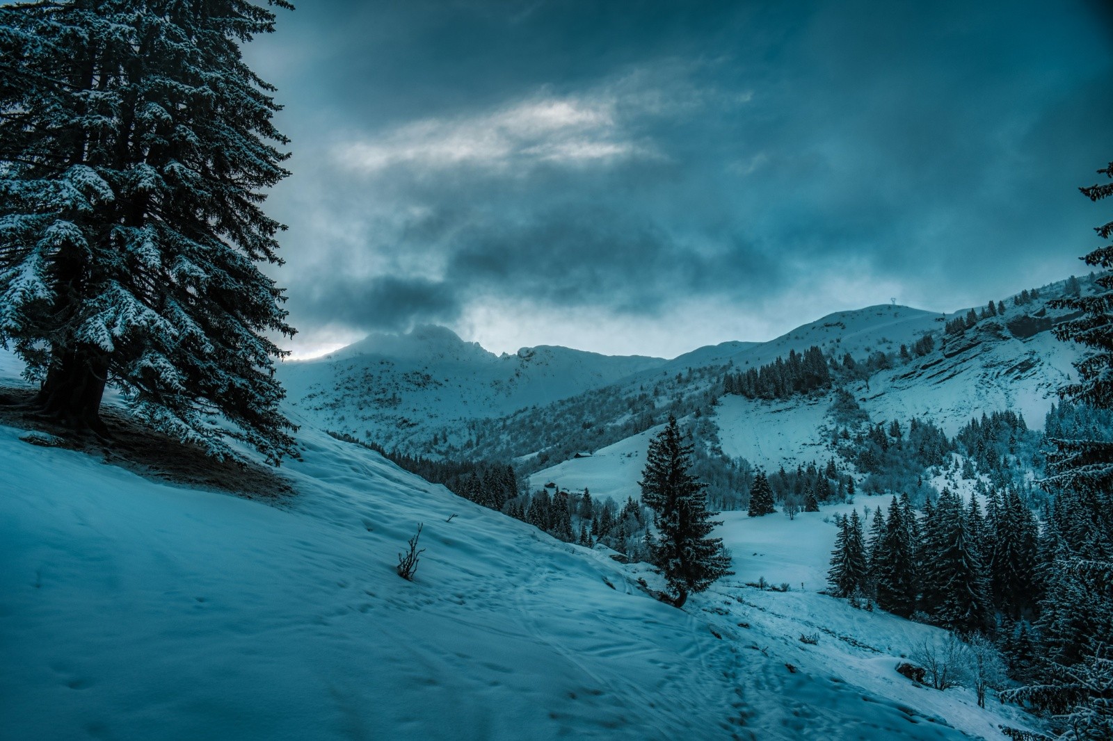 #1 En avant! En avant!