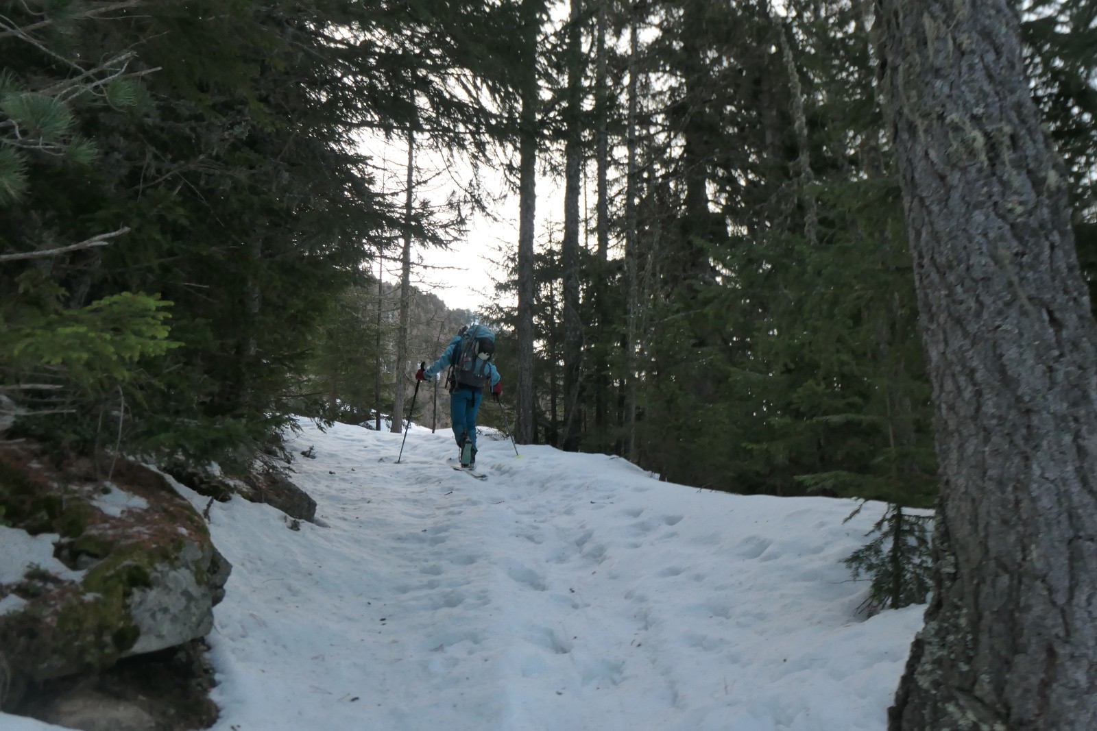 #13 Jour 1 : en forêt Jour 1 : en forêt