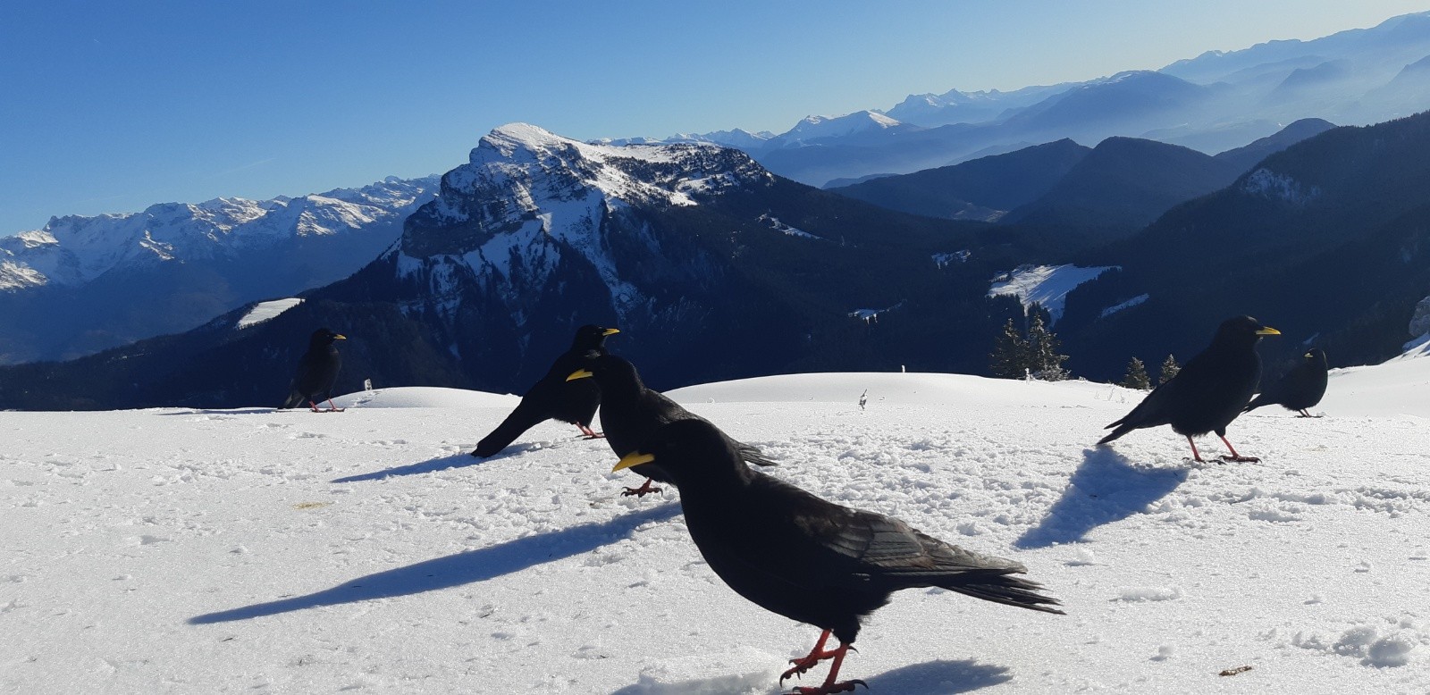 &nbsp;Je ne suis pas seul ( par interêt )