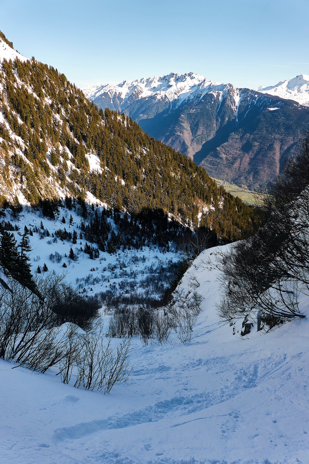 Bonne neige jusqu'en bas de la combe...