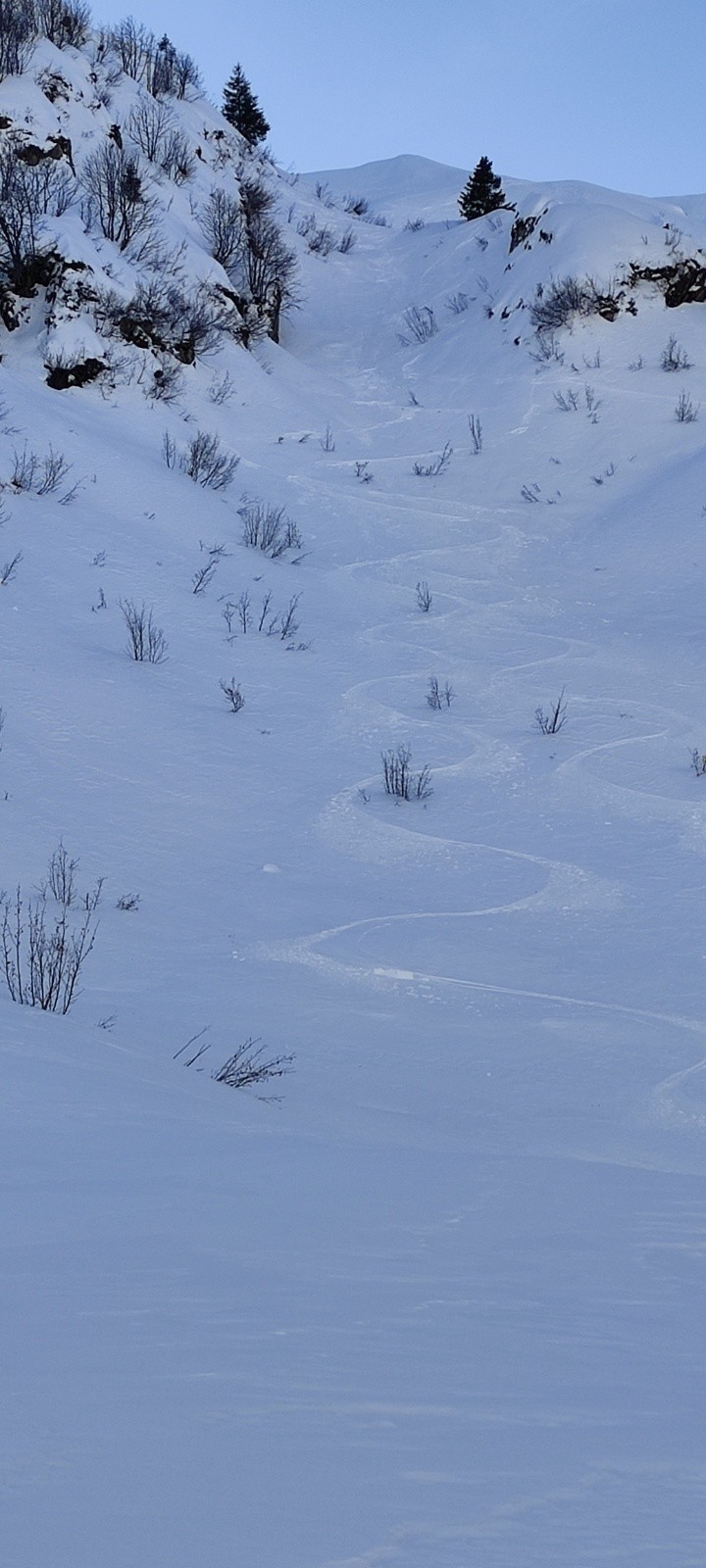 Et oui encore de la poudre côté Tarentaise&nbsp;