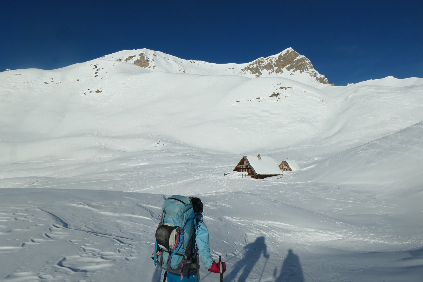 #58 Jour 1 : Notre nid Jour 1 : Notre nid