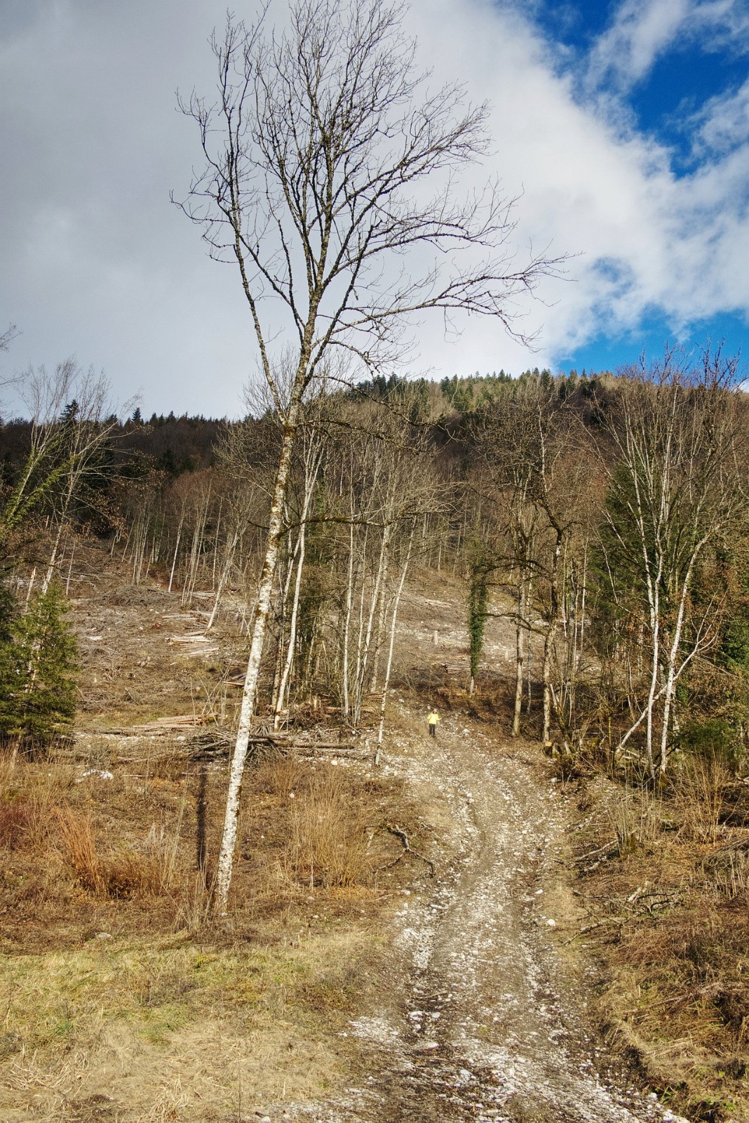 #19 Départ de la piste Départ de la piste