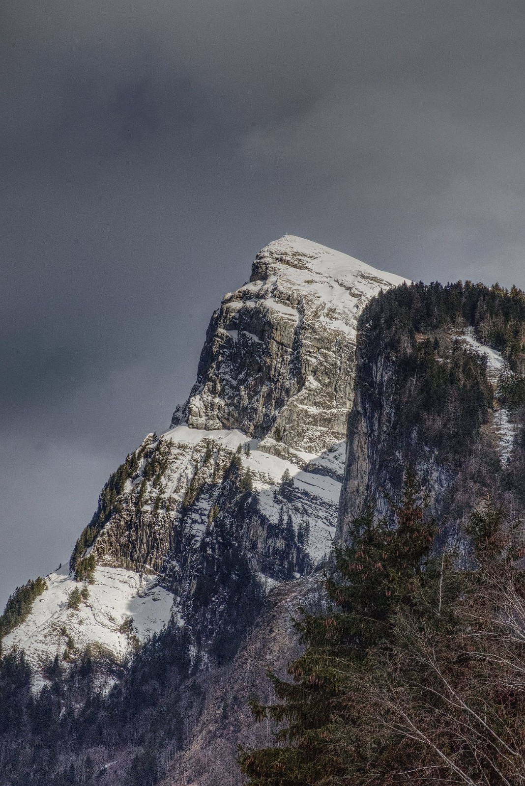 #22 Le Criou Le Criou