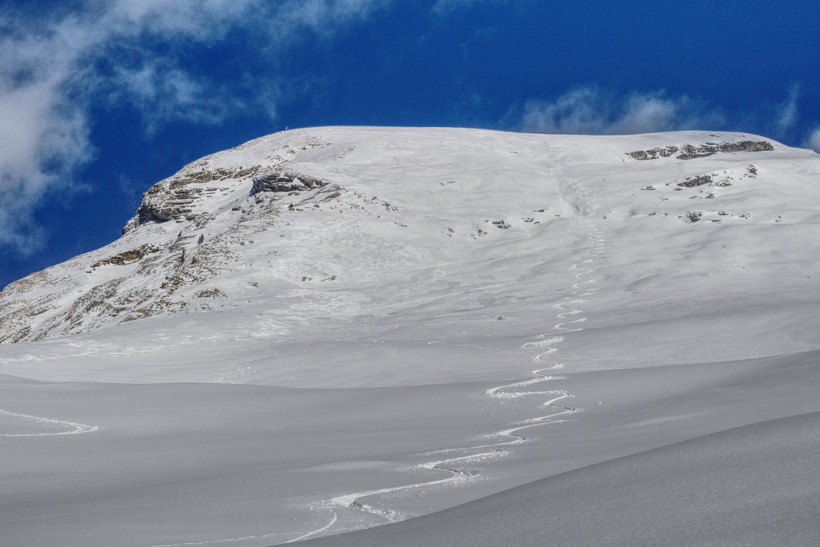 #15 Le haut de la face Le haut de la face