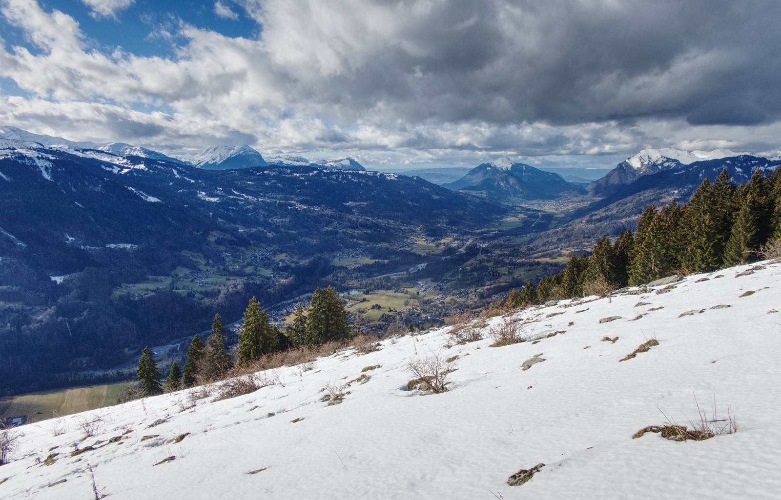 #17 slalom entre les églantiers slalom entre les églantiers