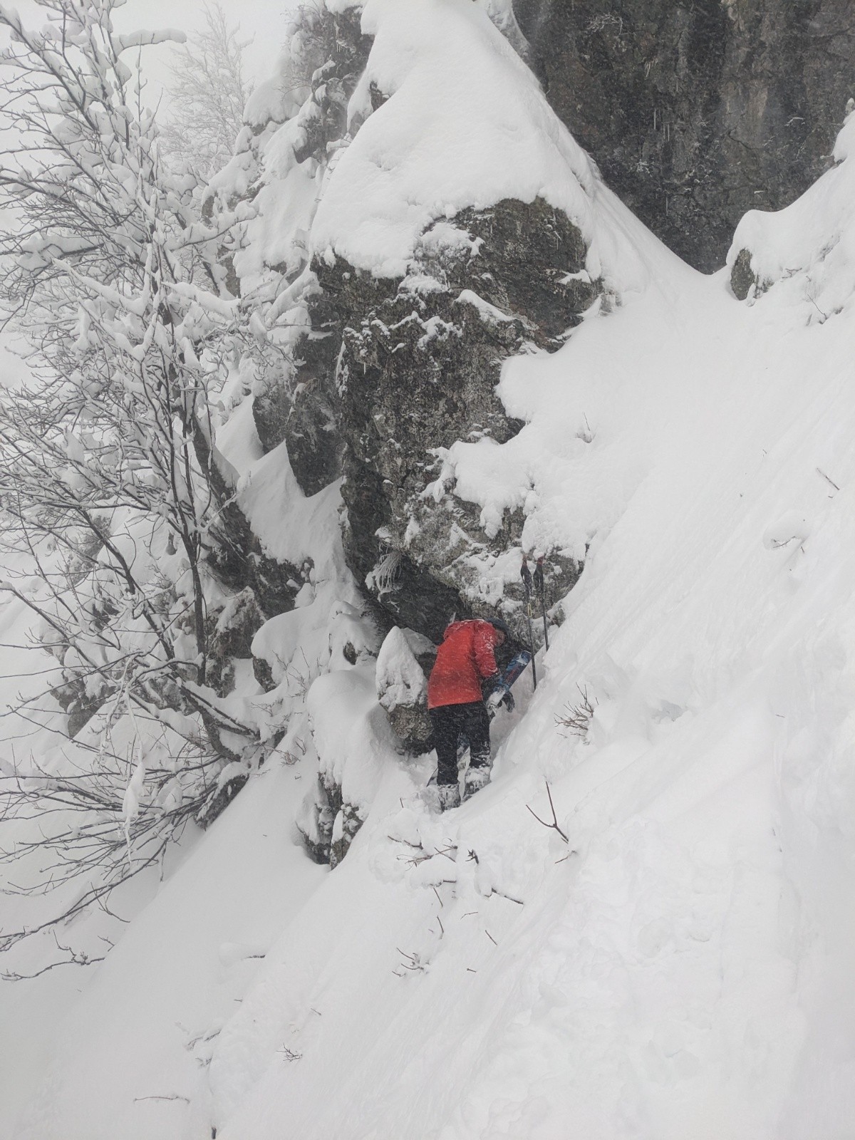 Arrêt ici et repeautage, plus bas, un ravin