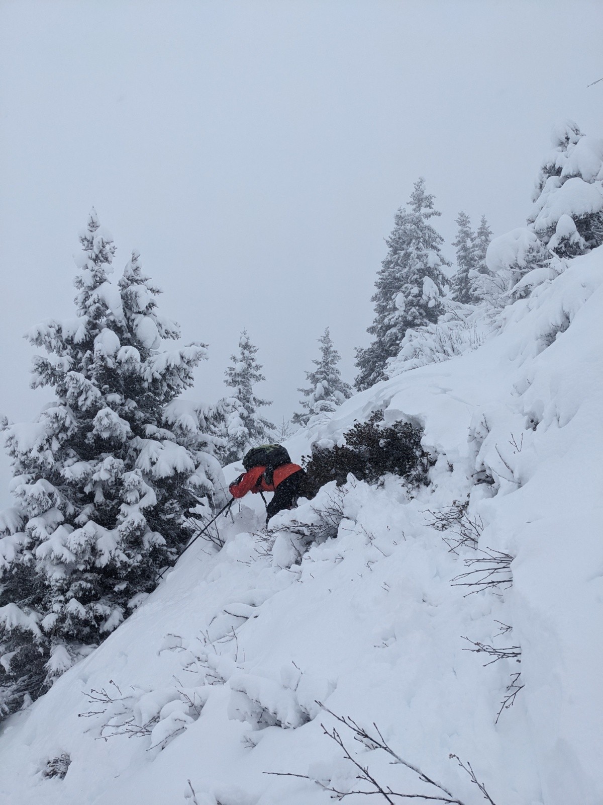 Conversion dans les vernes