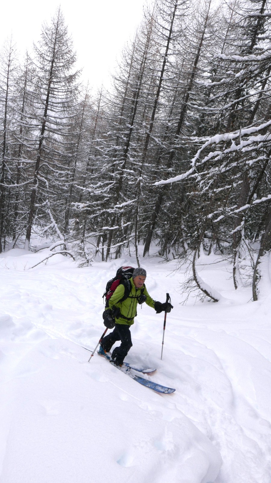 Dans les bois sous la cabane de l'Ubac.