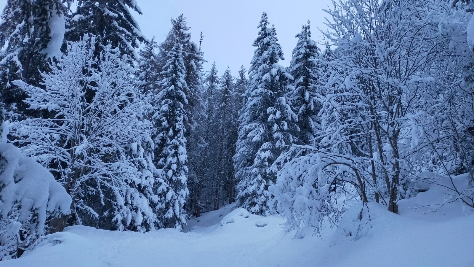  Bon enneigement dès le départ sur la piste, c'est presque aussi joli que la Chartreuse