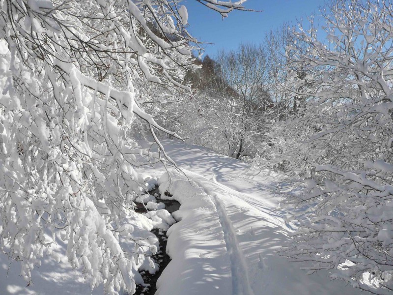 Bois de la Bourgeade : Le ski dans le Cantal n'est pas dénué de plaisir