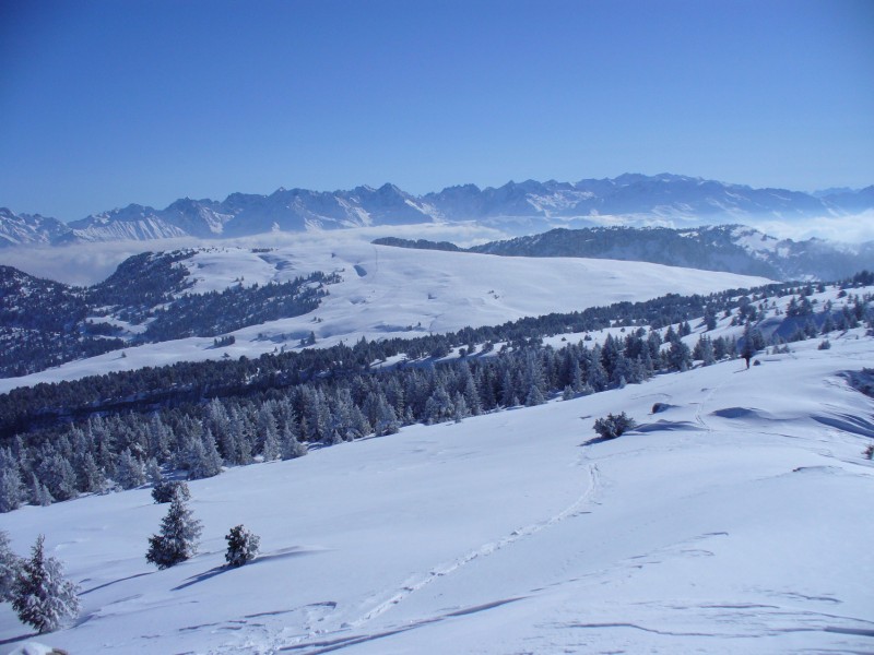 Vue vers la croix de l'Alpe : Avec le col à gauche dans la forêt par lequel passe l'itinéraire du retour