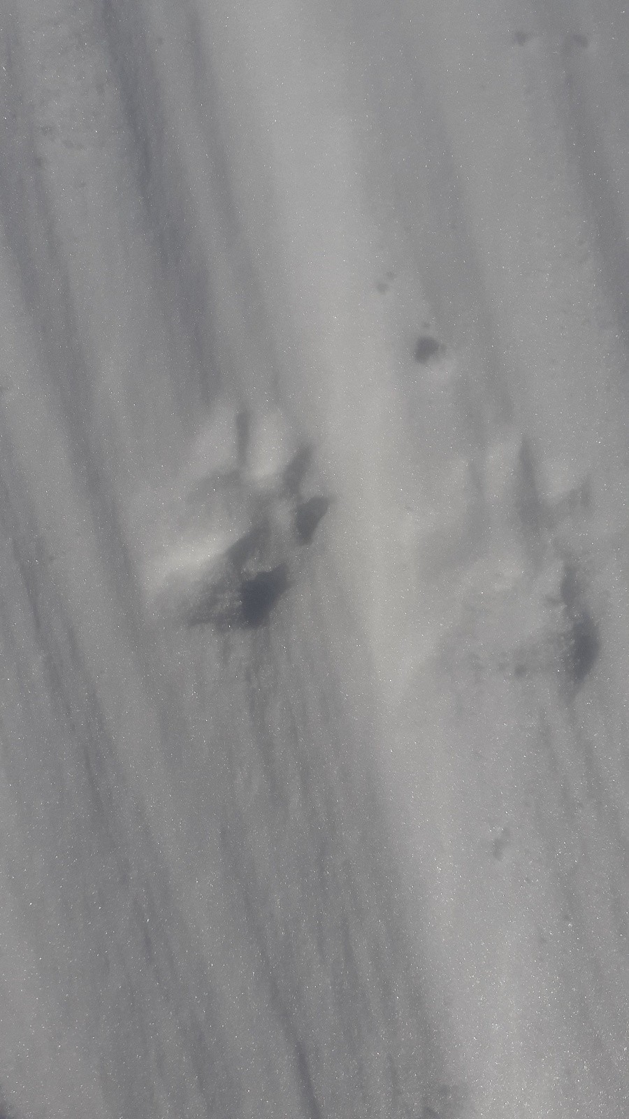 Les traces les plus marquées observées au sommet de la Belle Etoile