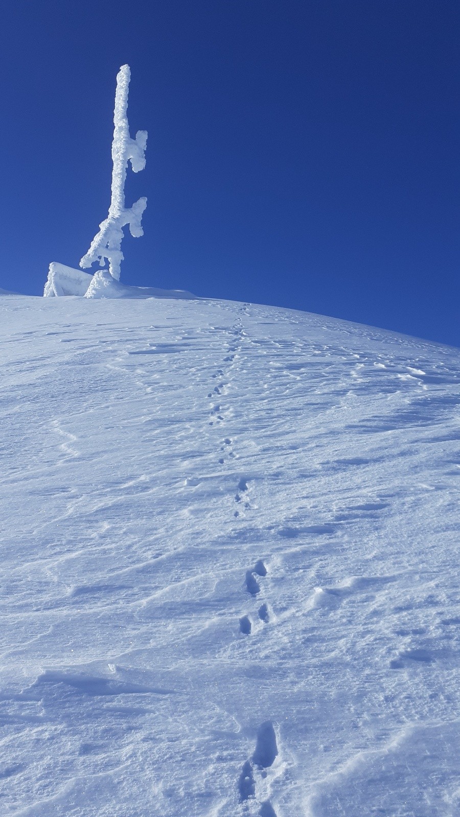 On retrouve notre traceur à le Belle Etoile