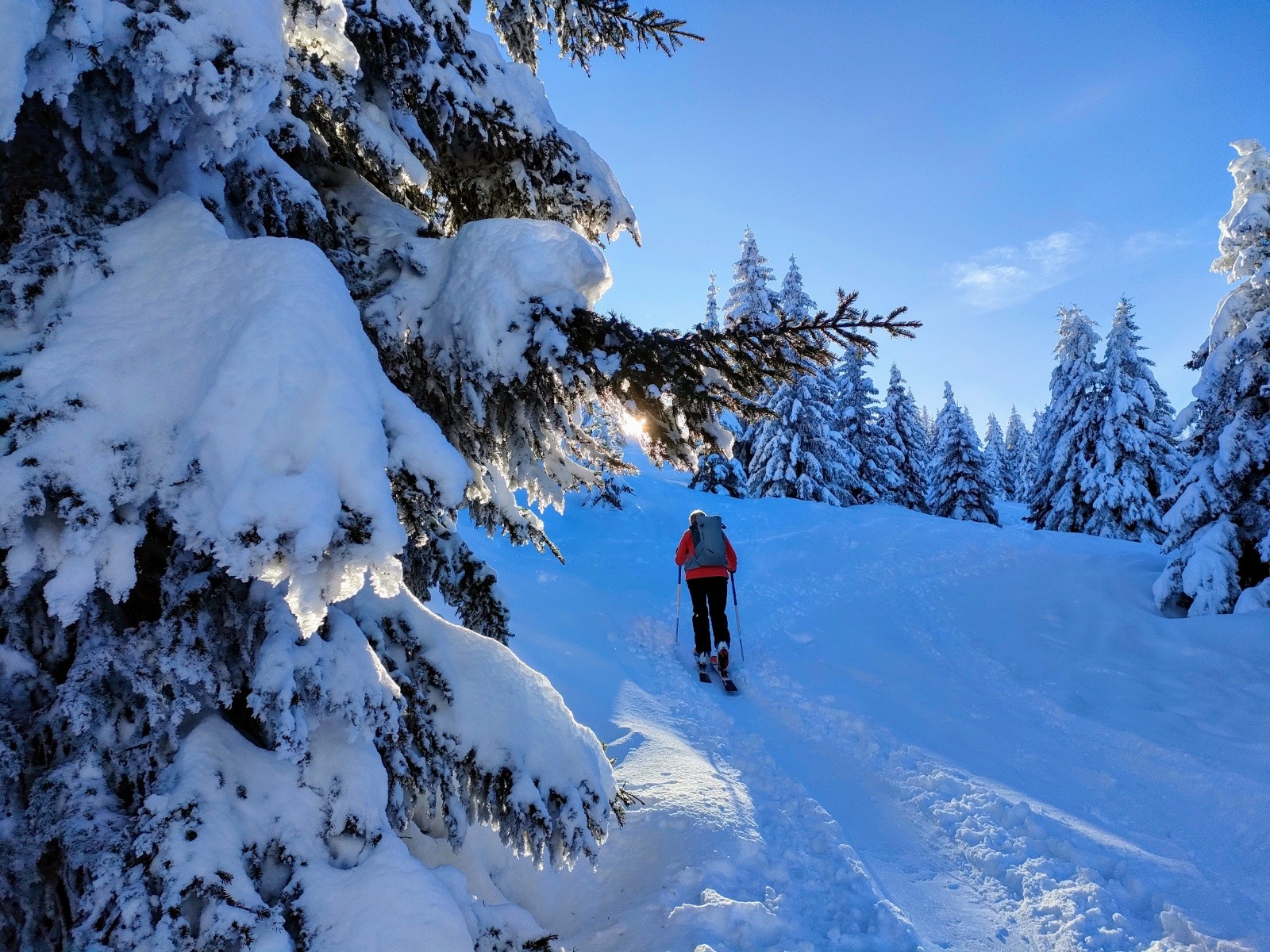 Enfin au soleil&nbsp;&nbsp;