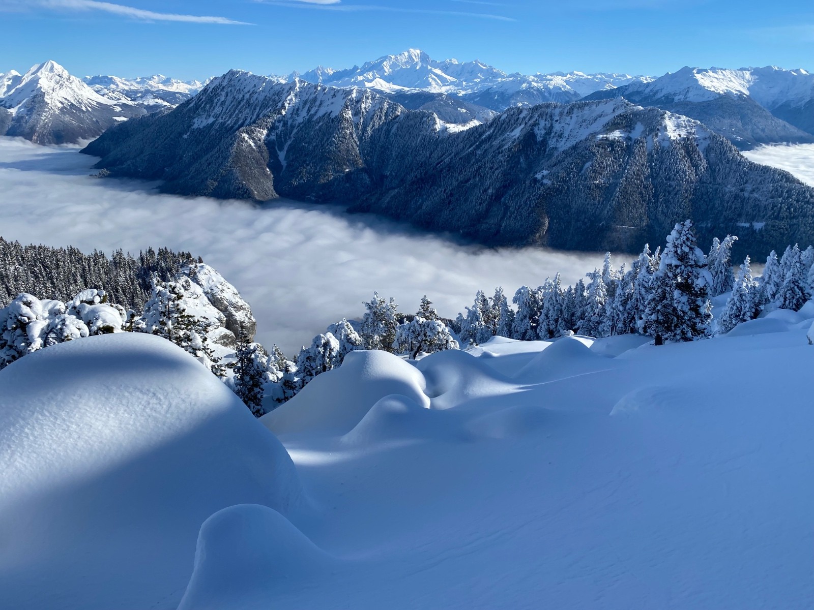 &nbsp;Tout en rondeurs&nbsp;