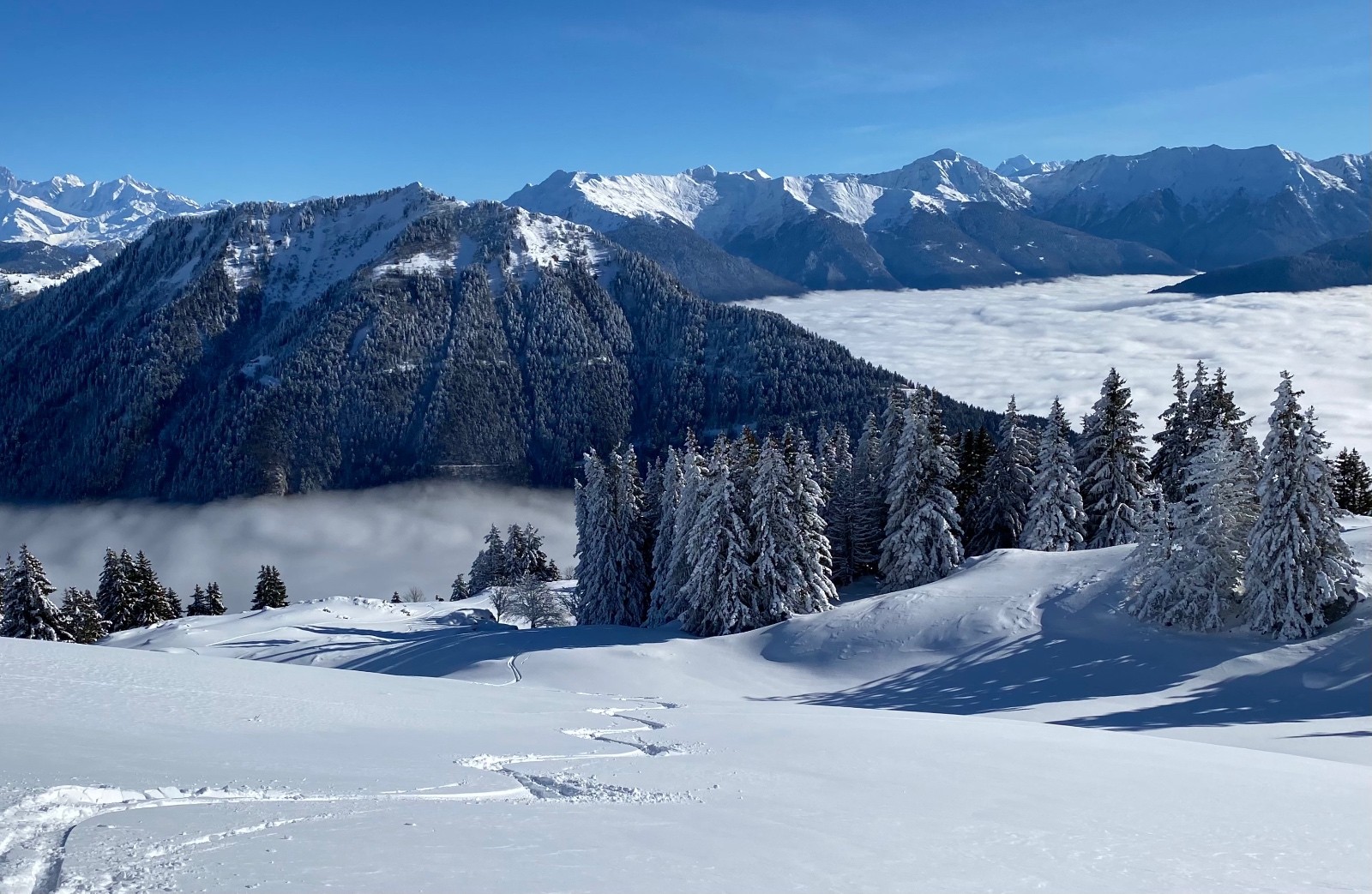 &nbsp;Bon aussi sous le chalet&nbsp;