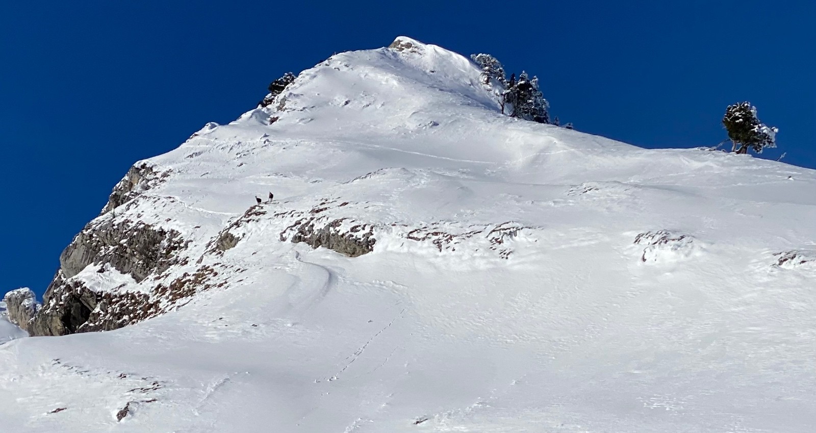 &nbsp;Les copains sont là