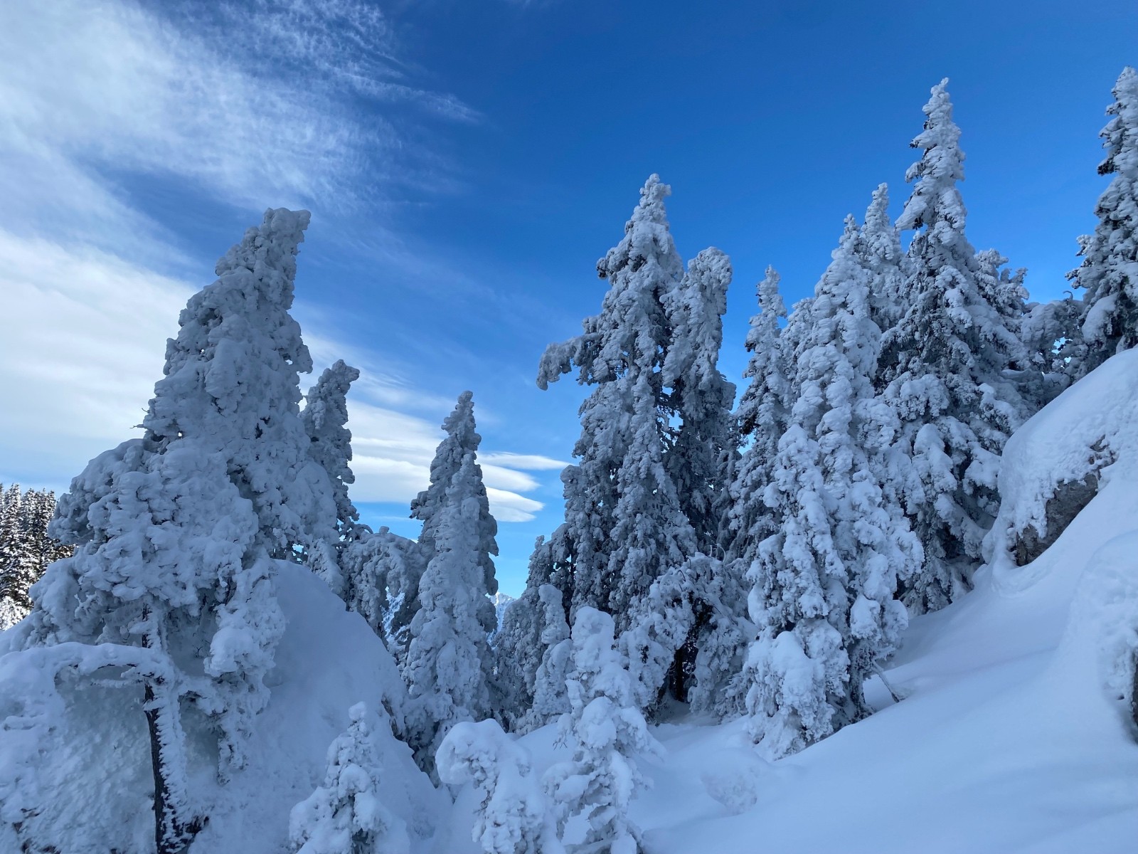 &nbsp;Plâtrés&nbsp;