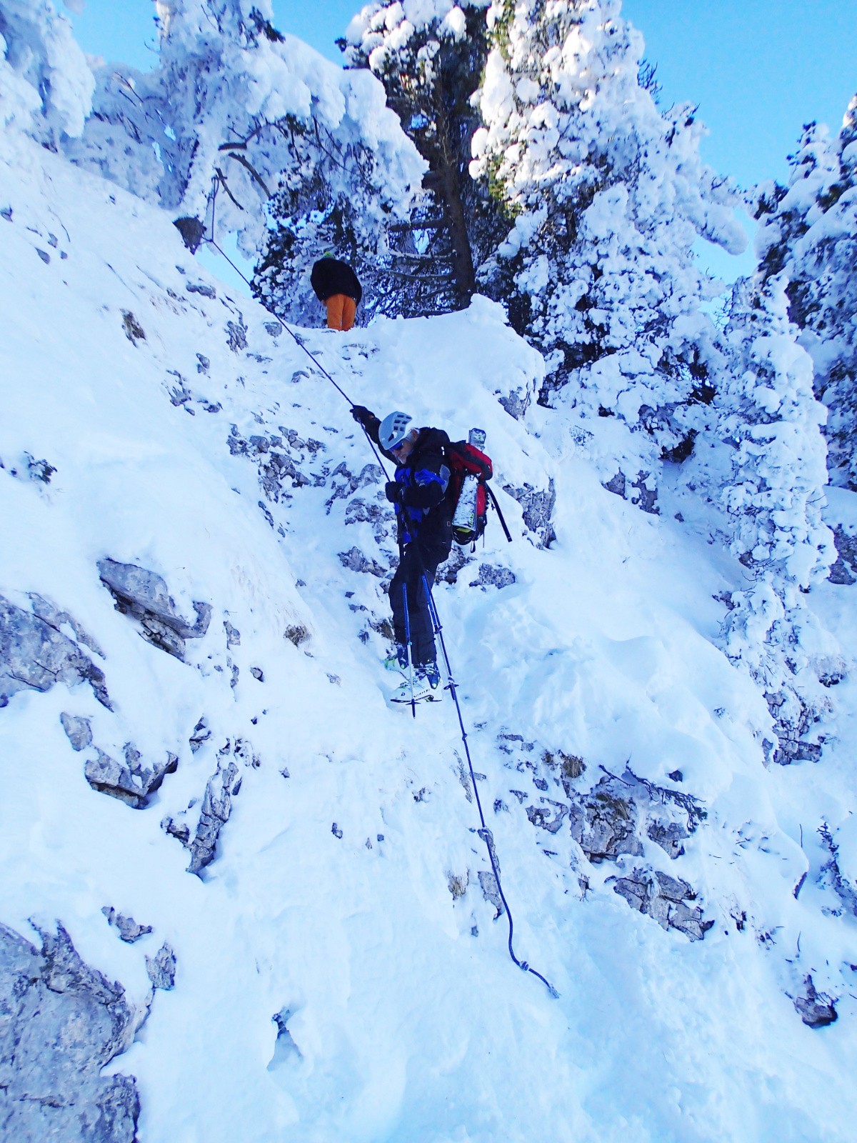 Le lapin, le lapin ...