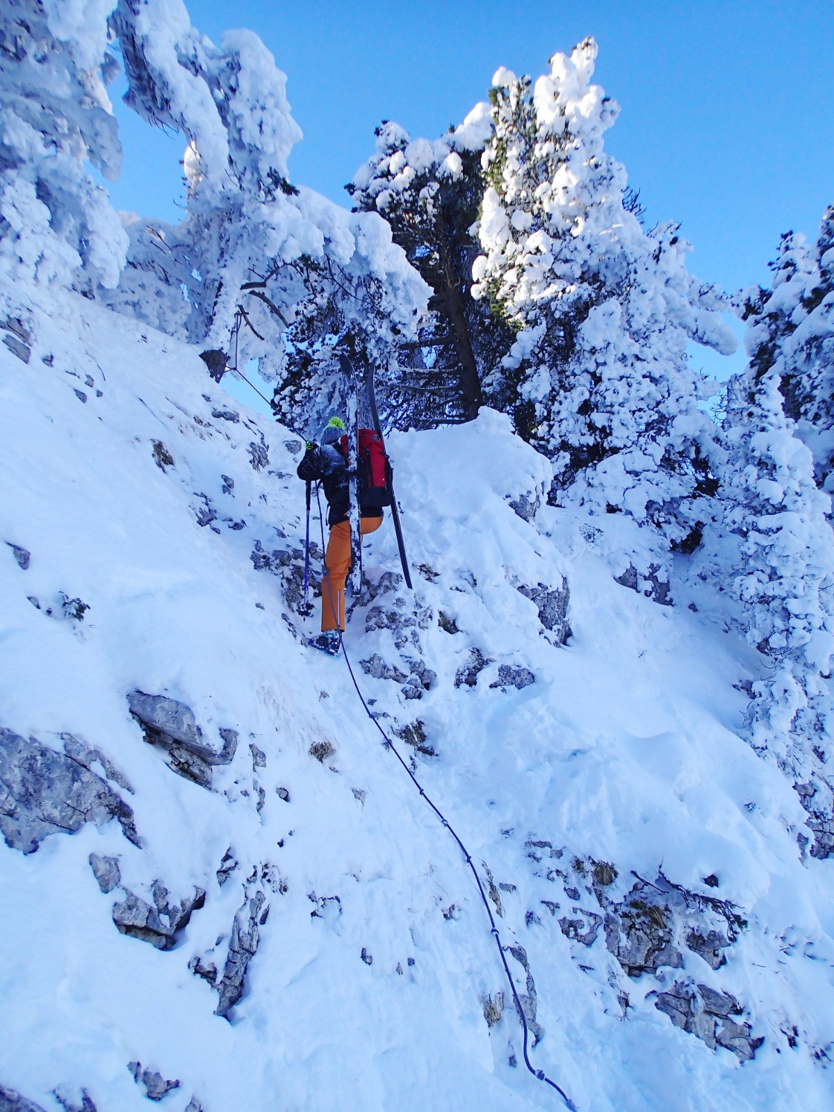 ... le lapin, le lapin !