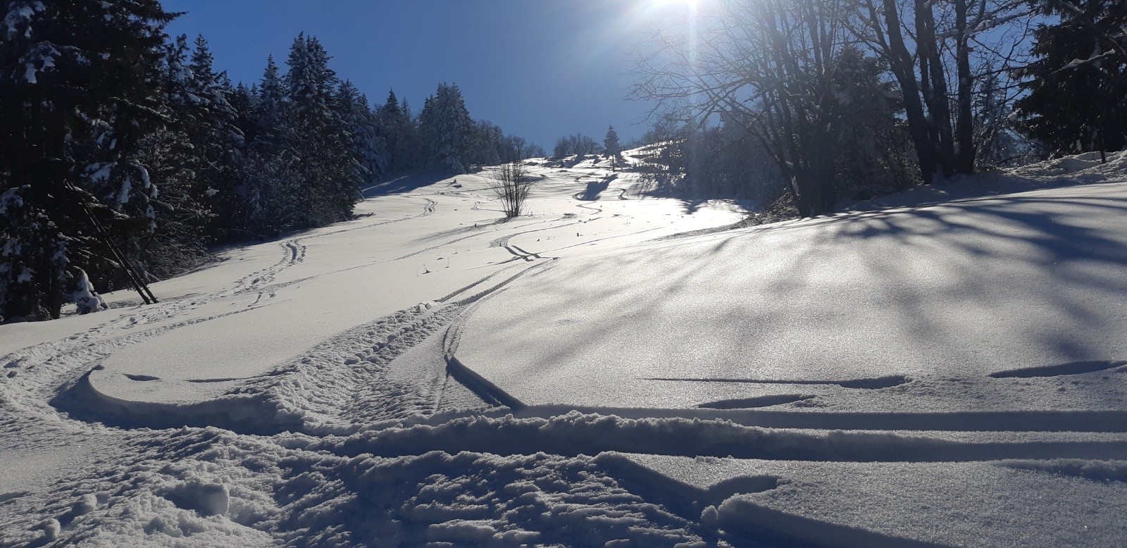 #10 seuls sur la prairie sommitale seuls sur la prairie sommitale