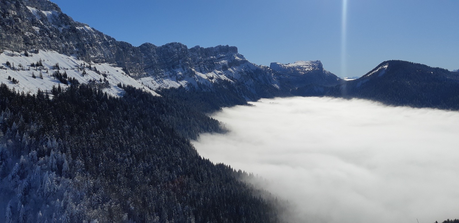 #7 Les Mallissard W Les Mallissard W