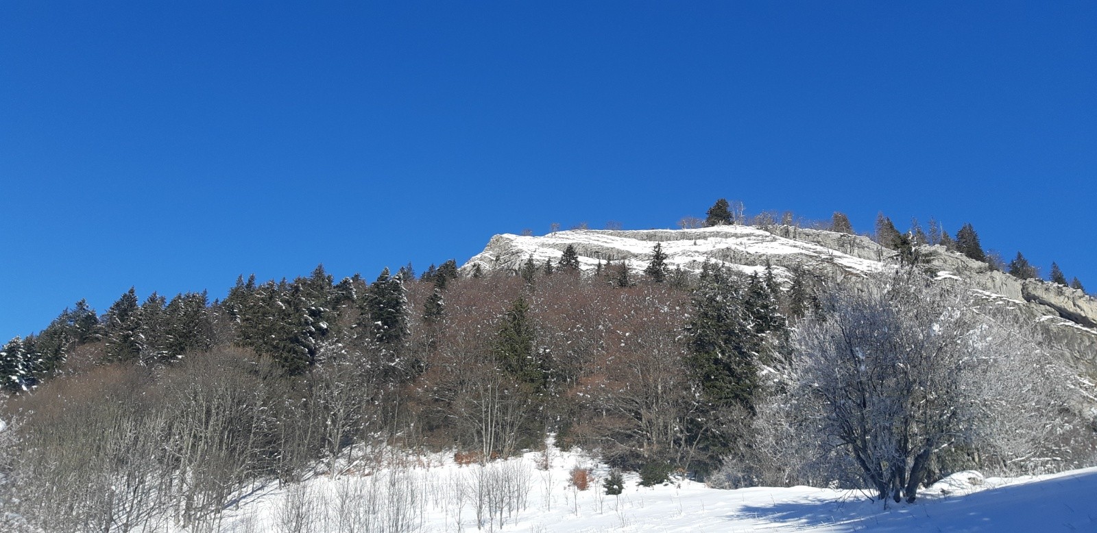 #4 Le Colleret vu de Fontanieu Le Colleret vu de Fontanieu