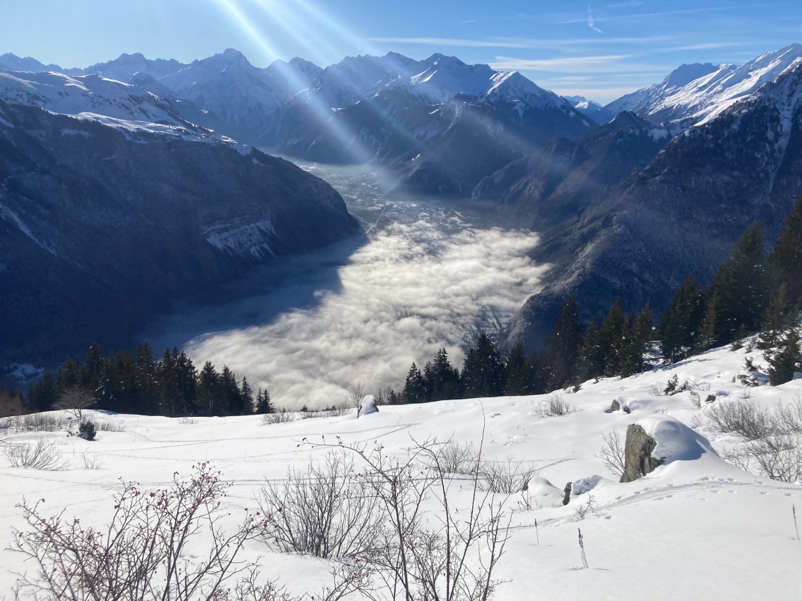 au dessus de la foret