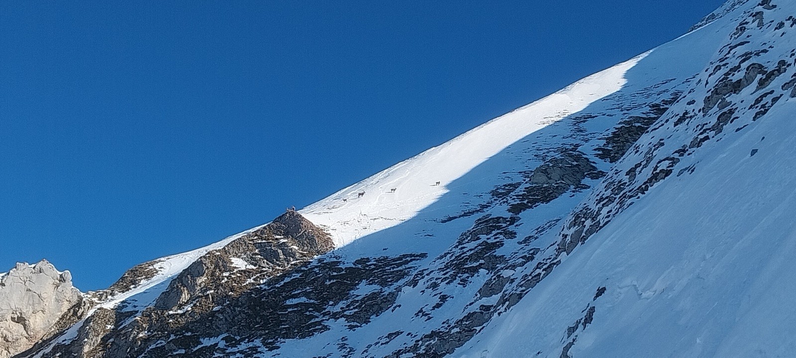 Au loin et au soleil !&nbsp;