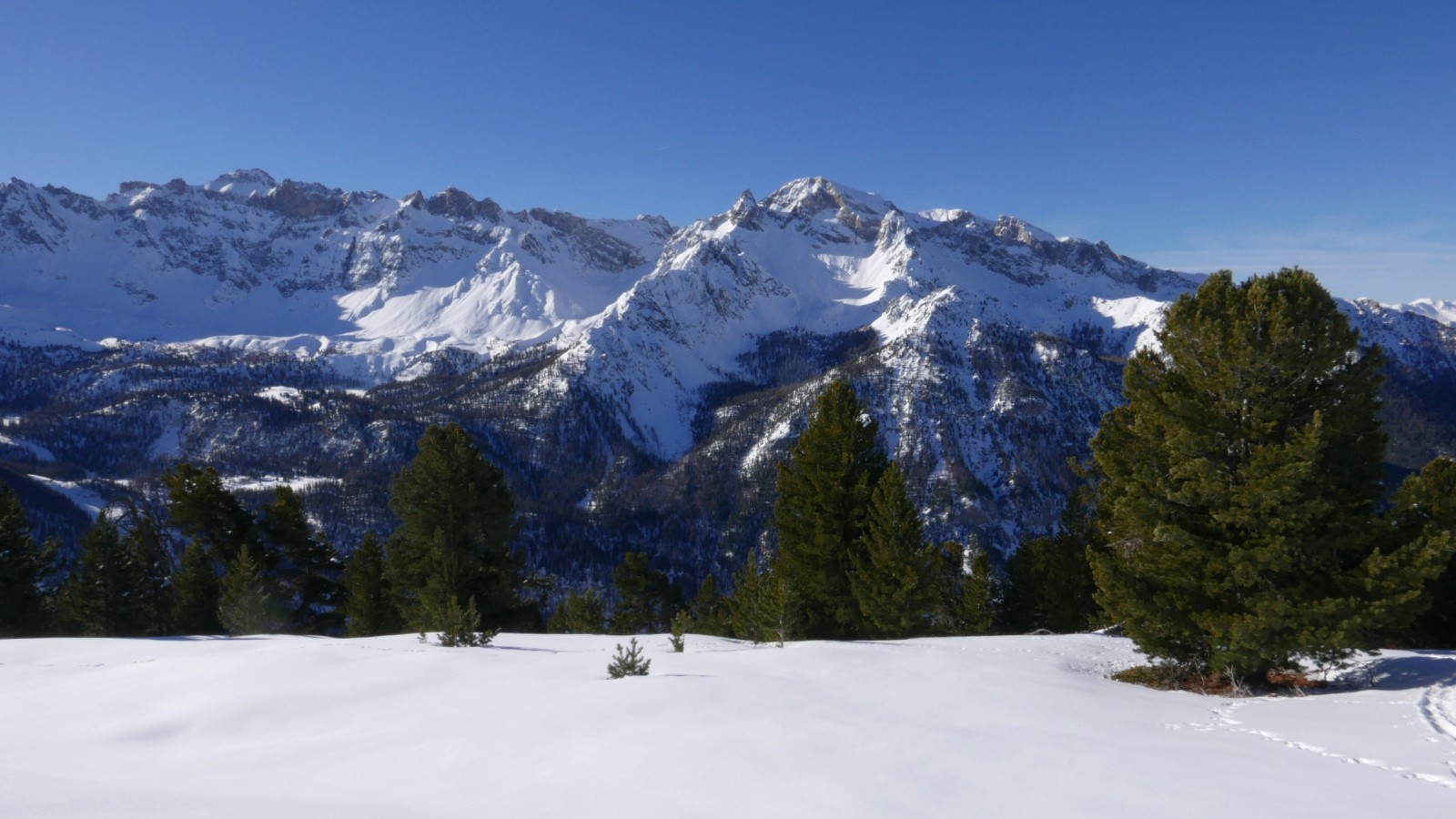 Le Bachas: bientôt 8 ans.