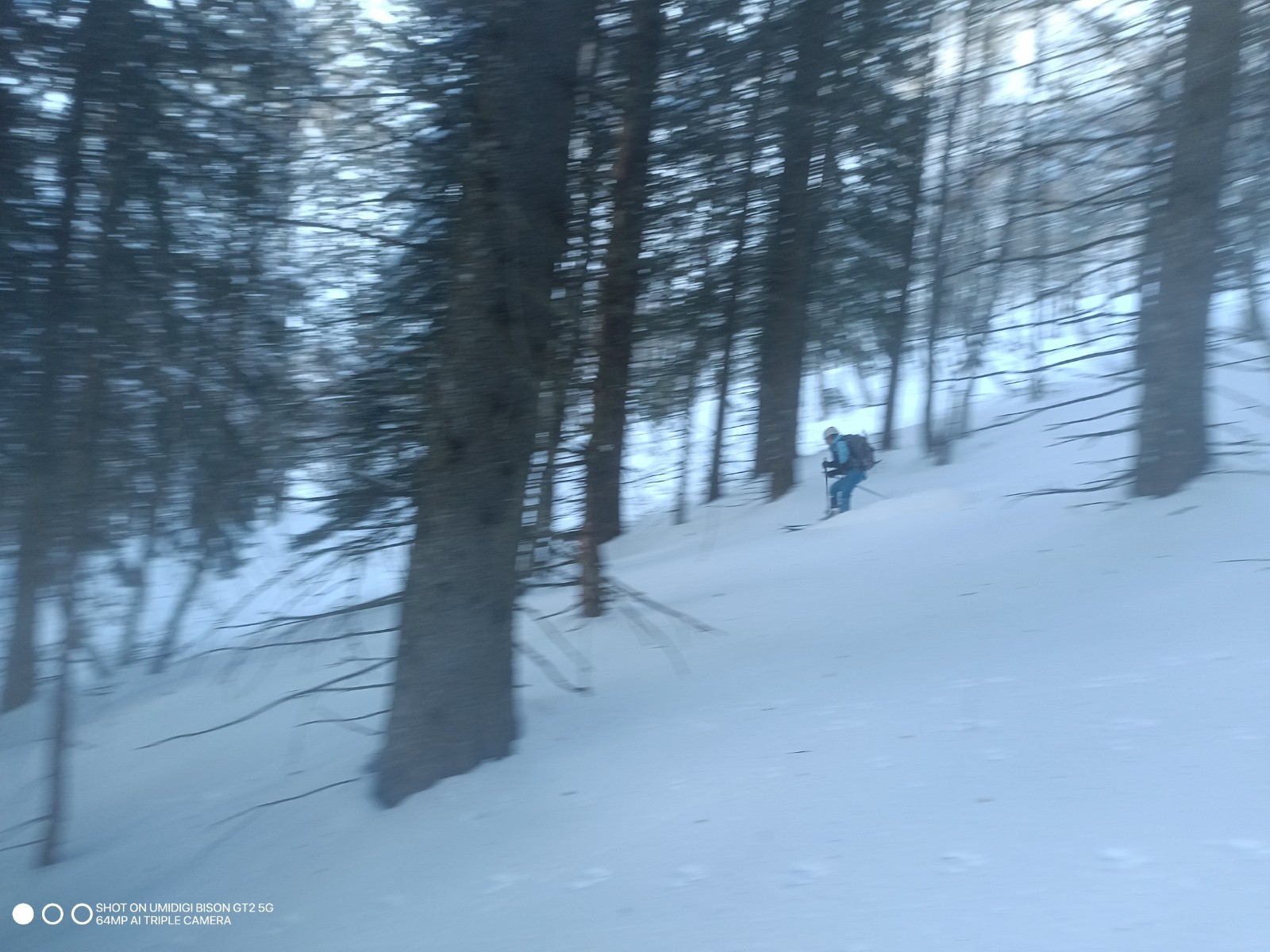 #17 En forêt En forêt