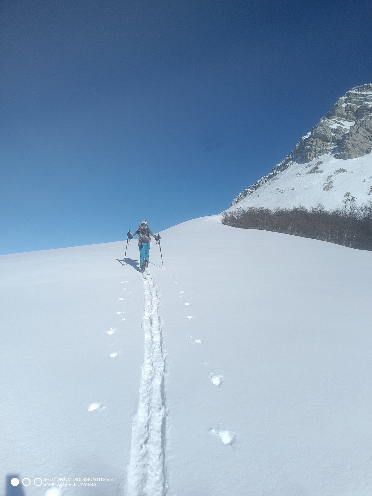 #19 Dans la prairie de Jusson Dans la prairie de Jusson