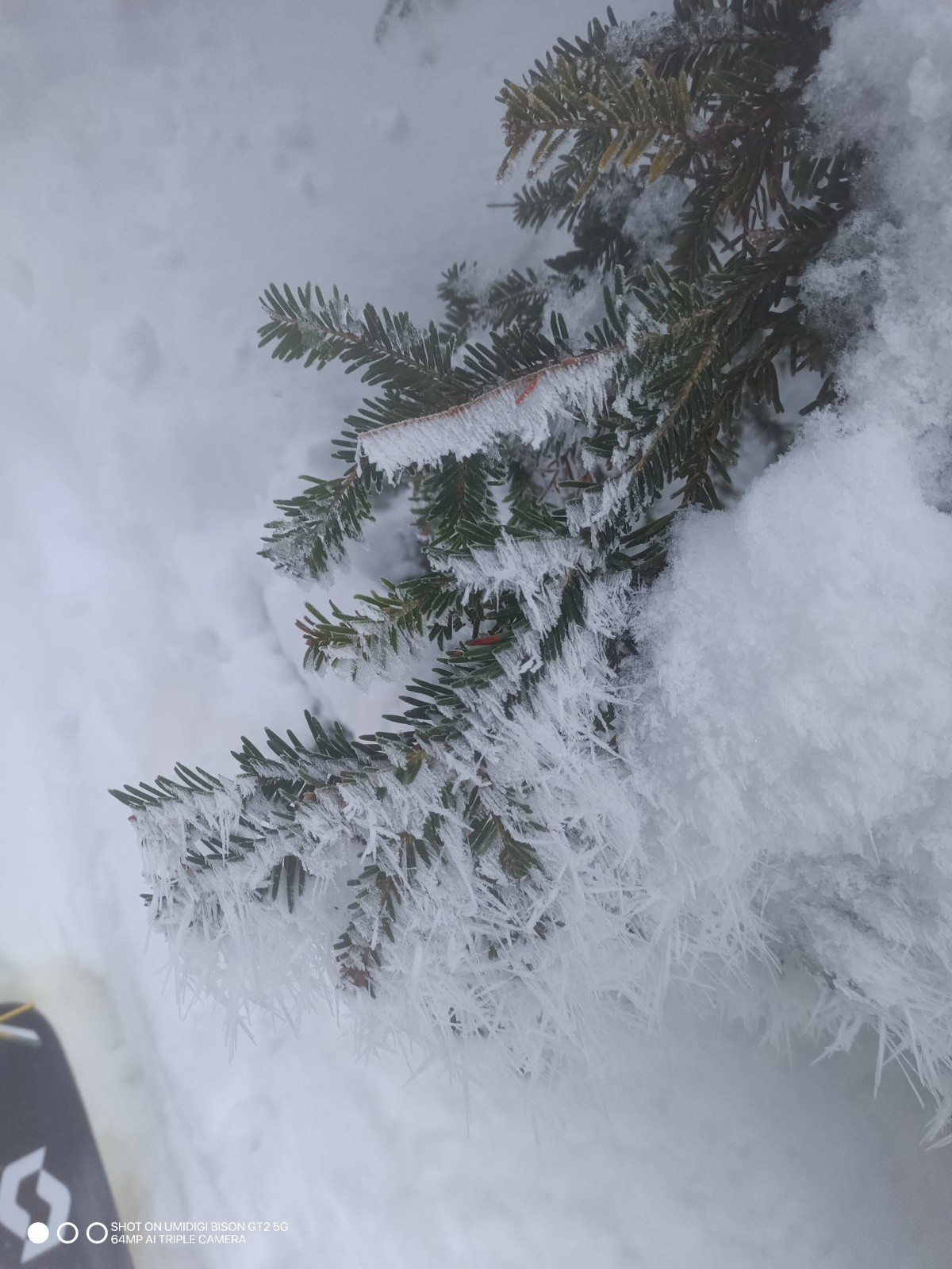 #3 Givré ! Givré !