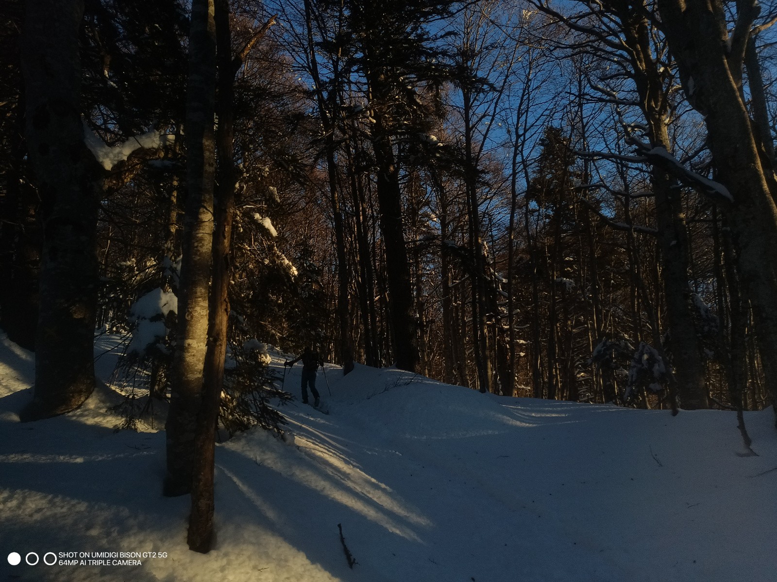 #5 Glad Glad' à la trace !