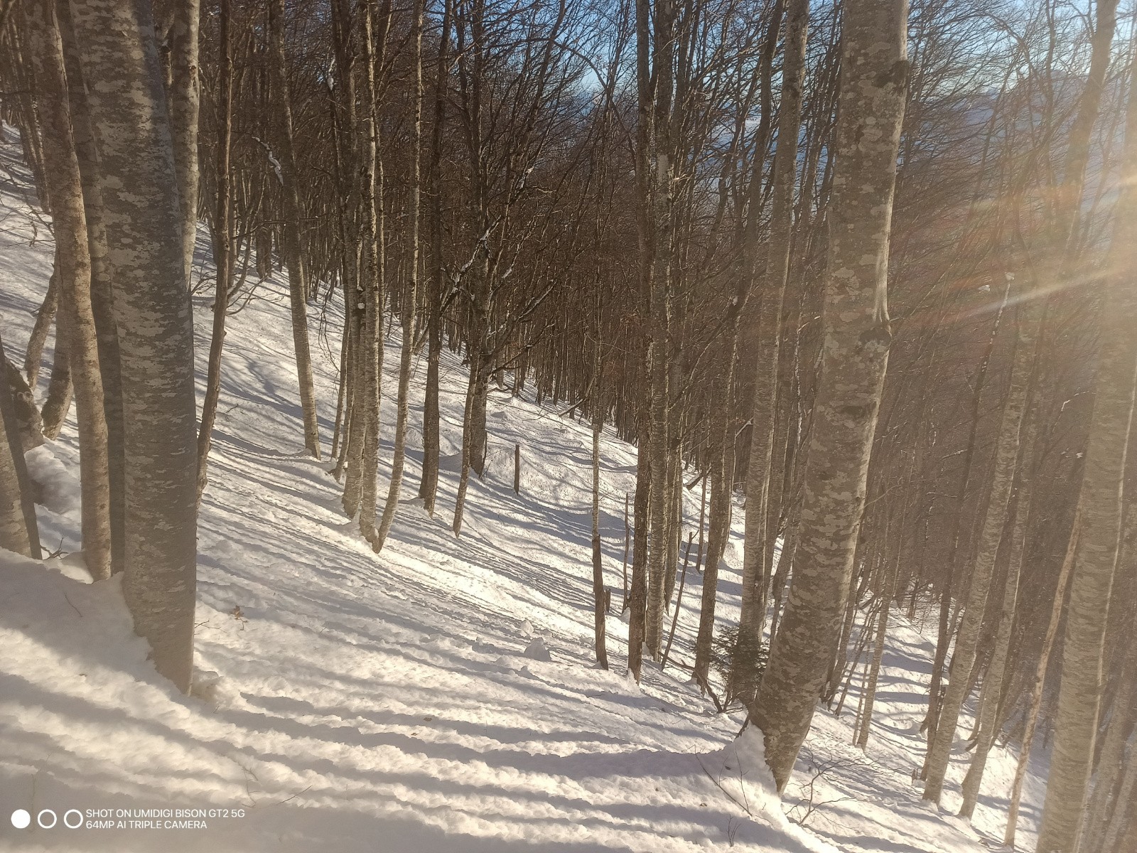 #4 Le soleil ! Le soleil !