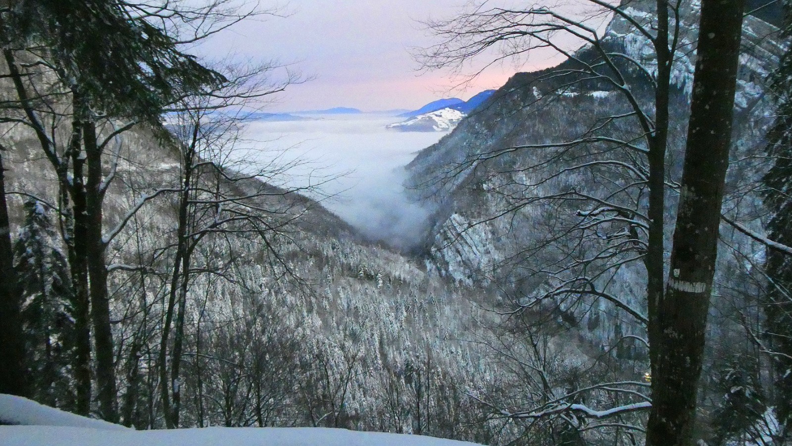 aube ou aurore, le doute est permis 
