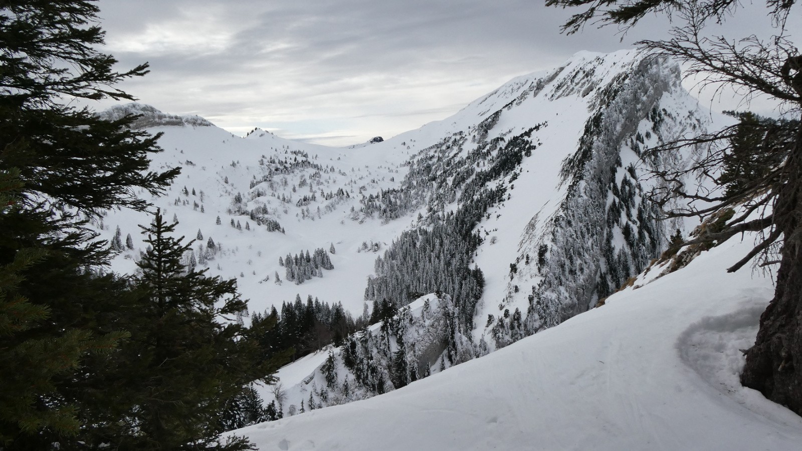 La Sure et la Prairie vues du belvédère de la Charmille 